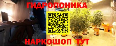 прущая мука Кимры
